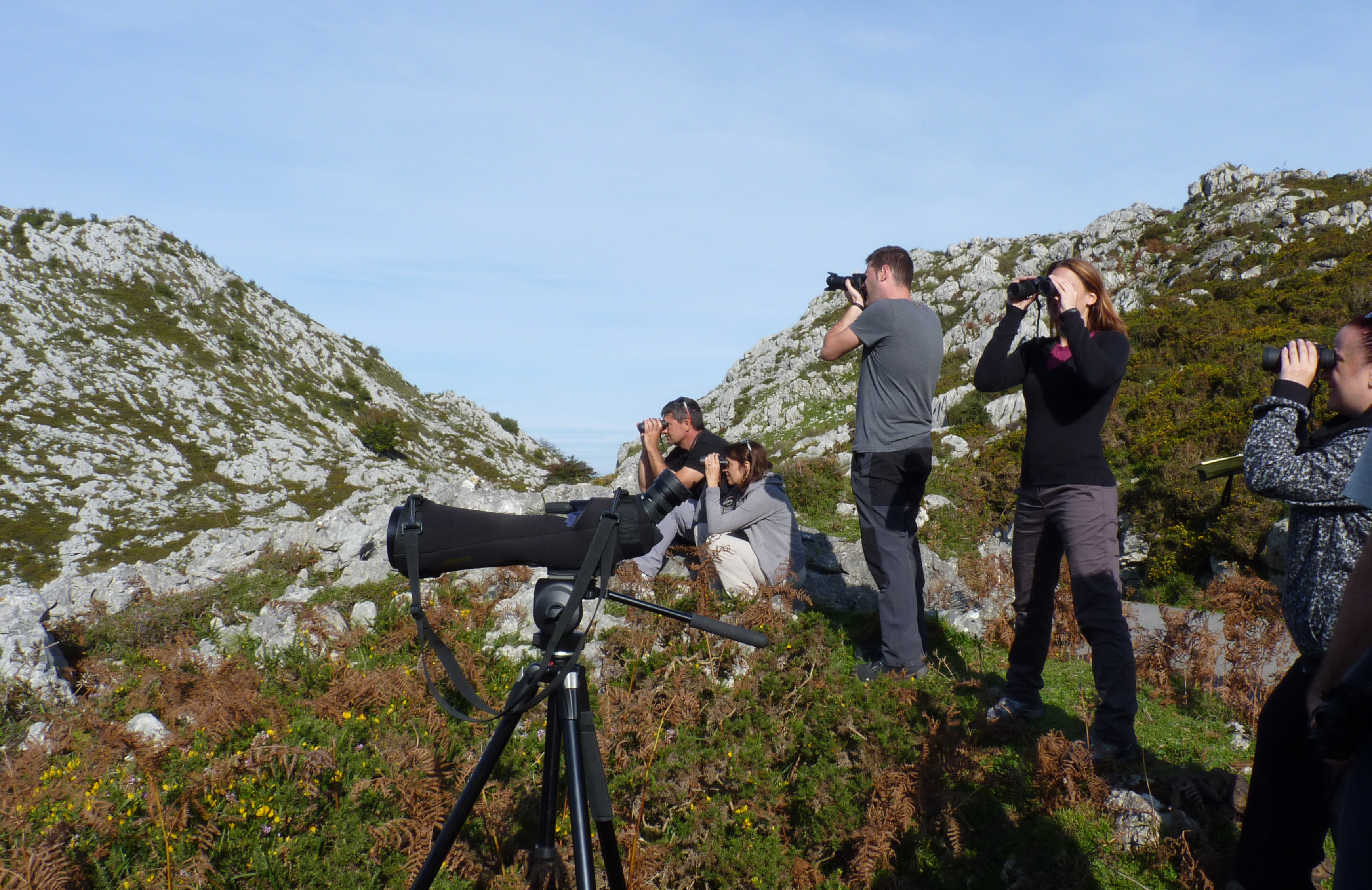 Un grupo de personas observando aves en los Lagos de Covadonga, Asturias