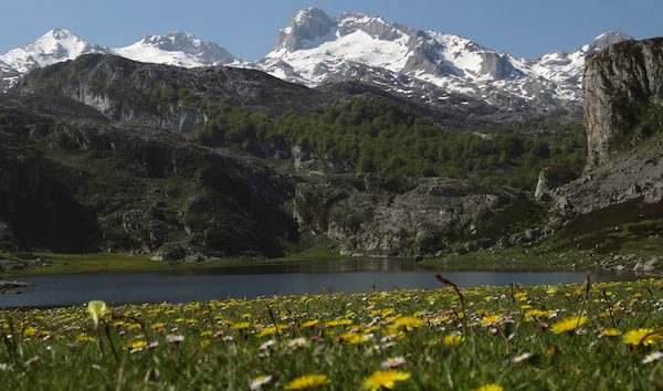 Lago Ercina (Lagos de Covadonga)