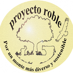 proyecto roble