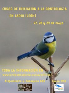 Curso iniciacion ornitologia Lario